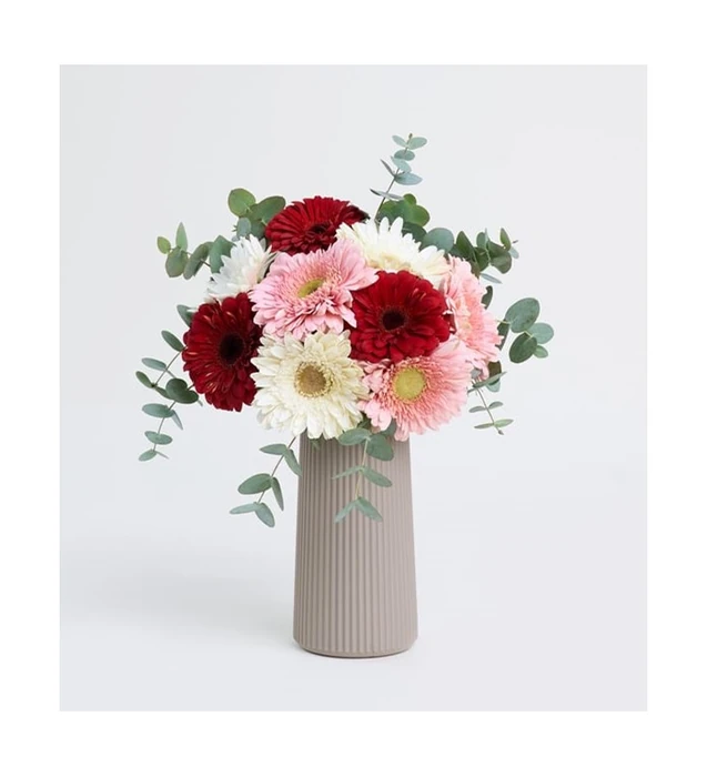 Bej Çizgili Vazoda Pembe & Beyaz & Kırmızı Gerbera
