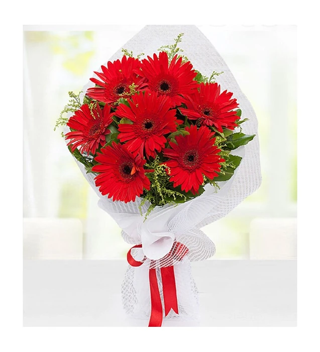 Kırmızı Gerbera Buketi